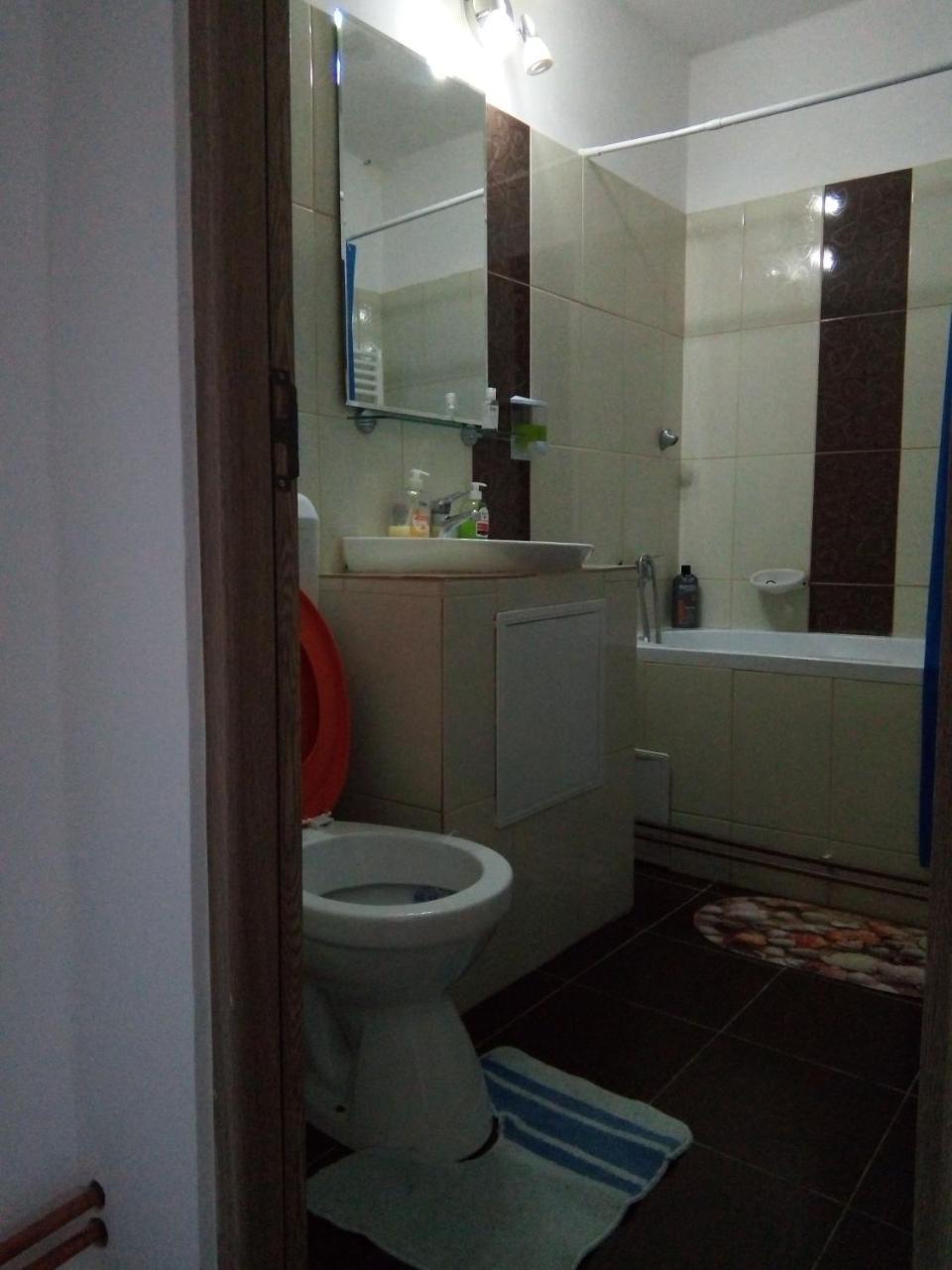 Central Apartment 2 Timisoara Exterior photo